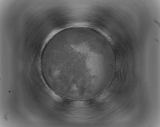 X0000097811470200803141108