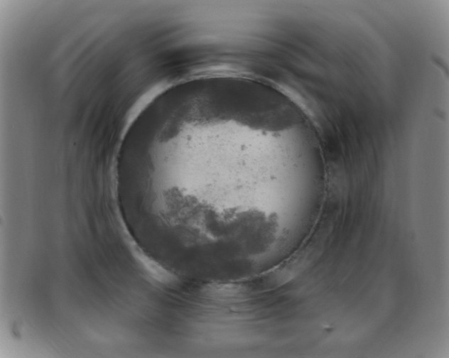 X0000097811474200803141108