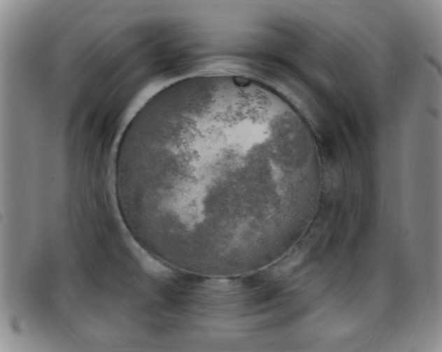 X0000097811478200803141108