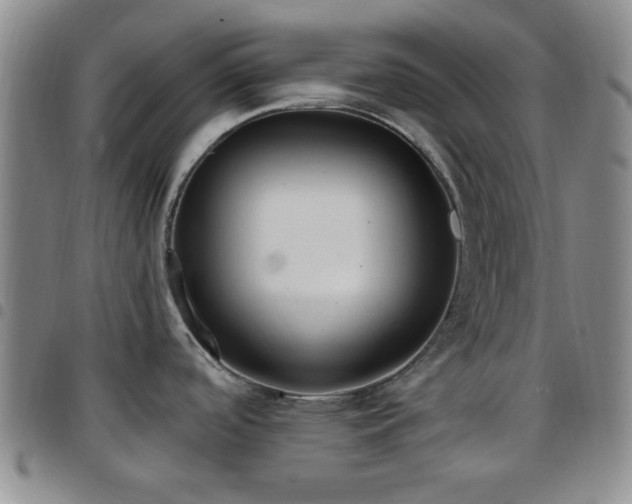 X0000097811488200803141107