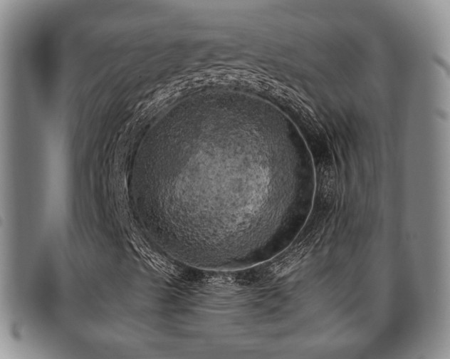 X0000097811489200803141107