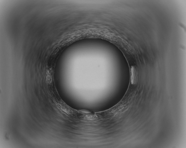 X0000097811491200803141107