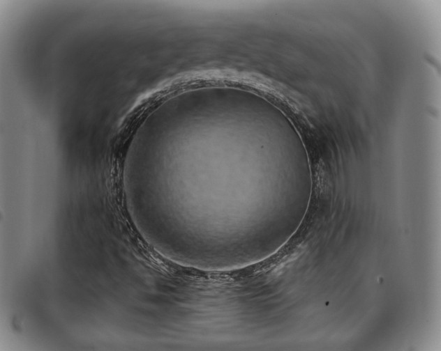 X0000097811494200803141107