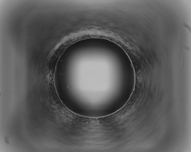 X0000097811495200803141107