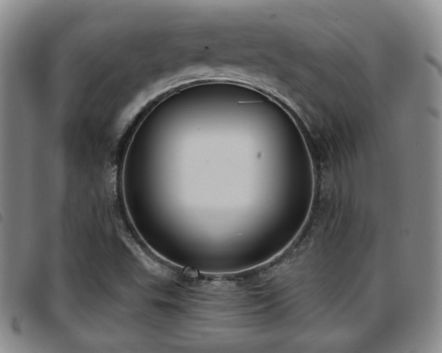 X0000097811503200803141107