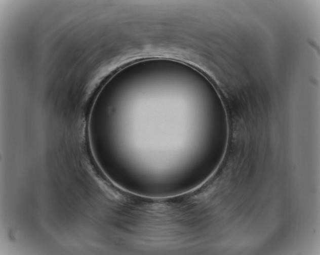 X0000097811507200803141107