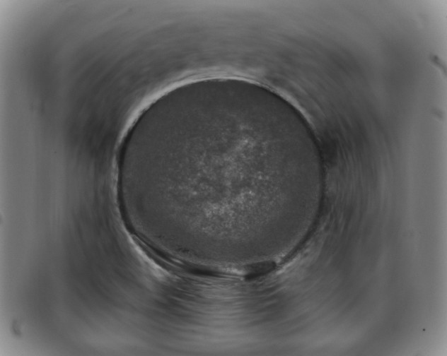 X0000097811508200803141107