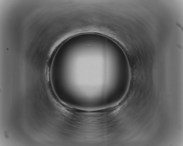 X0000097811510200803141107