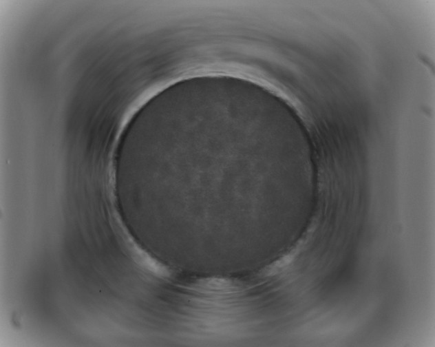 X0000097811517200803141107