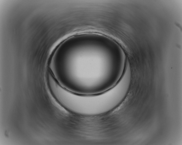 X0000097811518200803141107