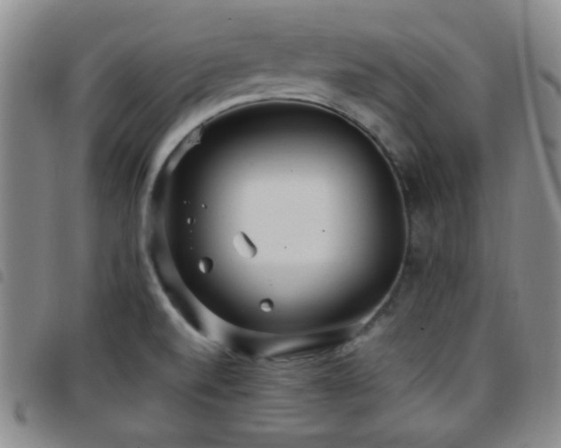 X0000097811520200803141107