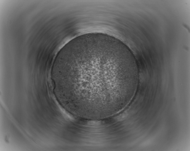 X0000097811521200803141107