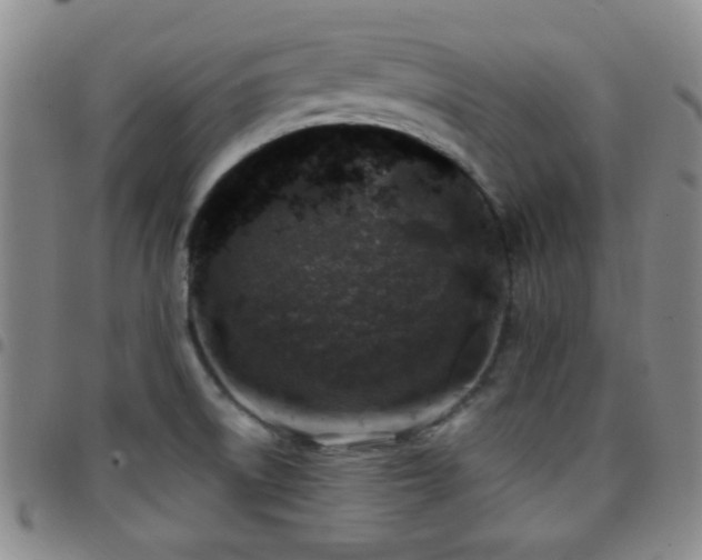 X0000097811522200803141107