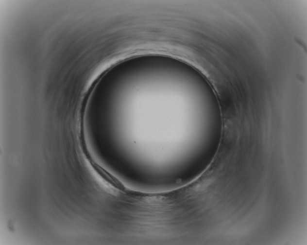 X0000097811523200803141107