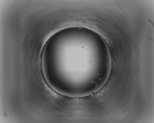 X0000097811527200803141107