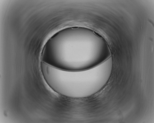 X0000097811528200803141107
