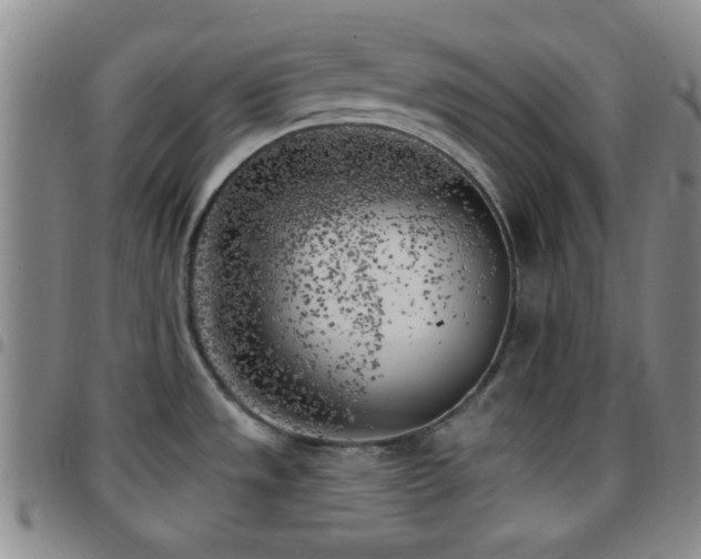 X0000097811533200803141107