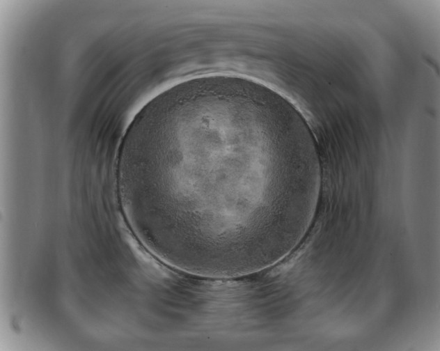 X0000097811534200803141107