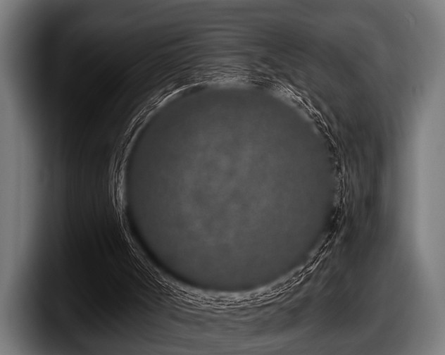 X0000097810002200803201427