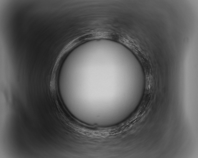 X0000097810004200803201427