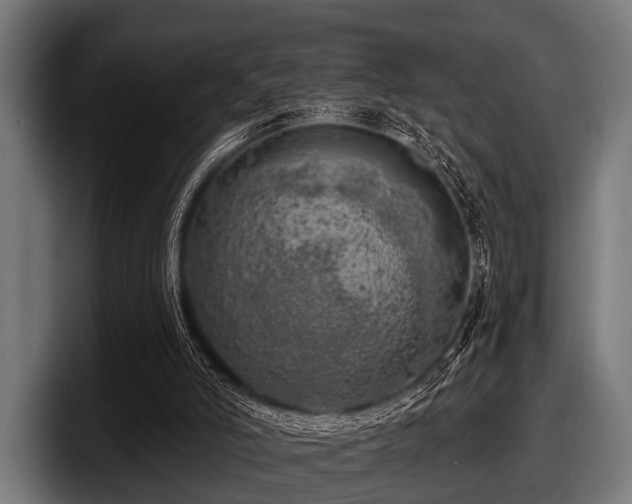 X0000097810006200803201427