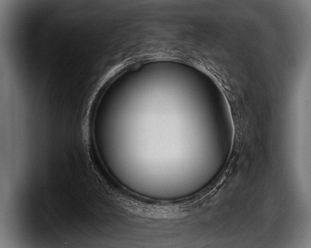 X0000097810008200803201427