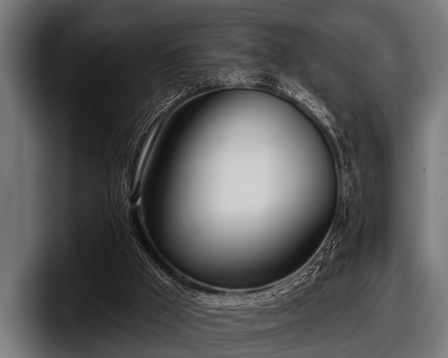 X0000097810009200803201427