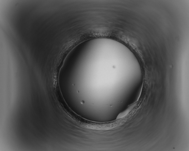 X0000097810017200803201426