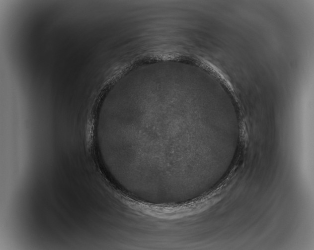 X0000097810018200803201426