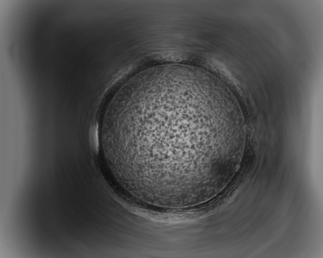 X0000097810020200803201426