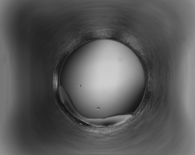 X0000097810021200803201426