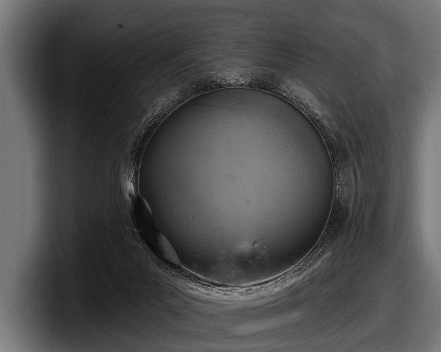 X0000097810023200803201426