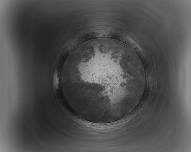 X0000097810026200803201426