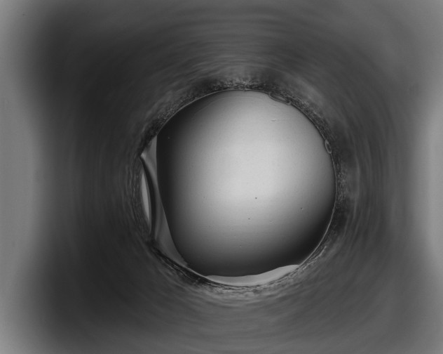 X0000097810029200803201426