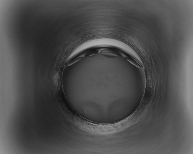 X0000097810031200803201426