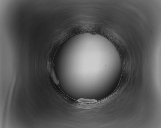 X0000097810033200803201426