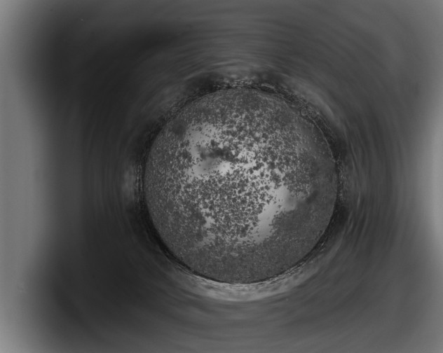 X0000097810034200803201426