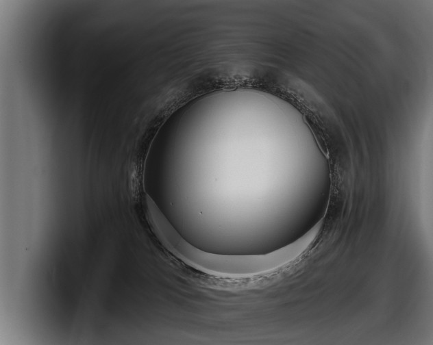 X0000097810037200803201426