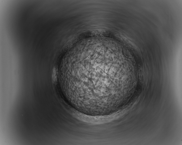 X0000097810038200803201426