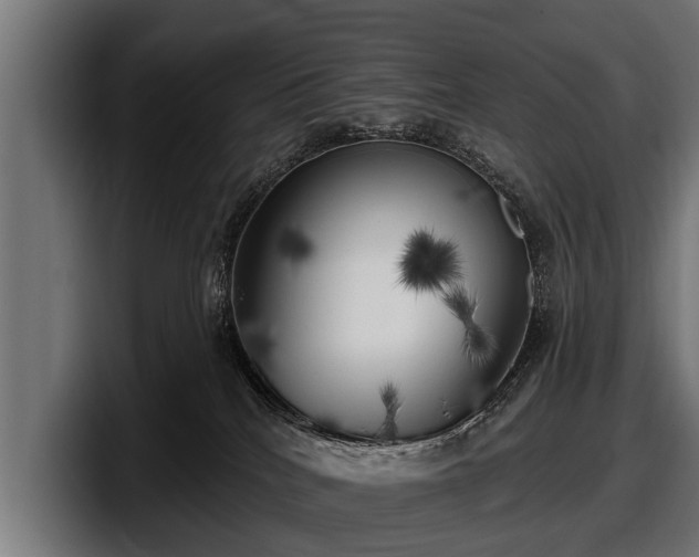 X0000097810040200803201426