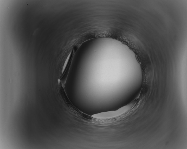 X0000097810041200803201426