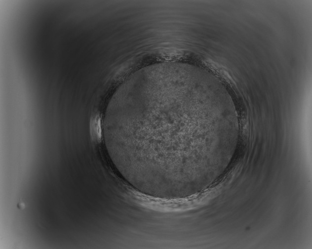 X0000097810042200803201426