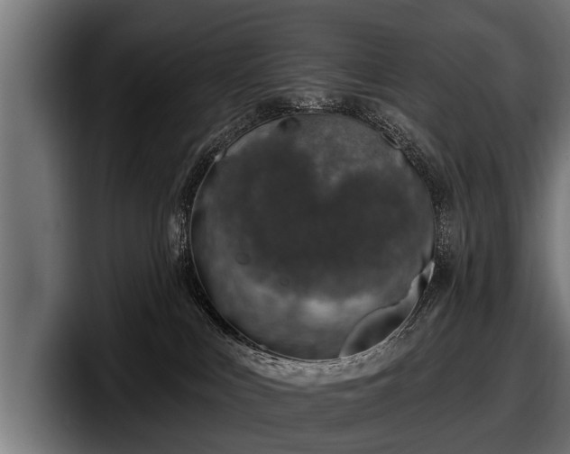 X0000097810043200803201426