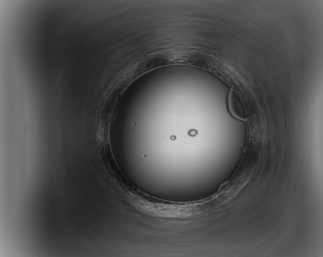 X0000097810044200803201426