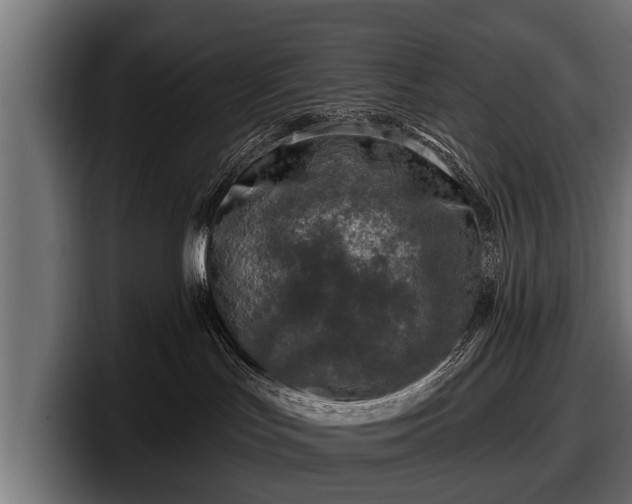 X0000097810047200803201426