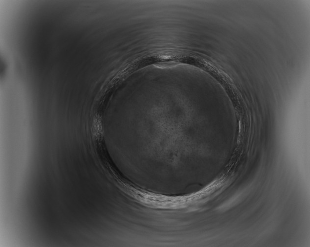 X0000097810048200803201426