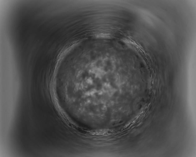 X0000097810049200803201425