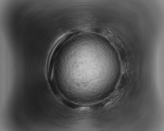 X0000097810052200803201425