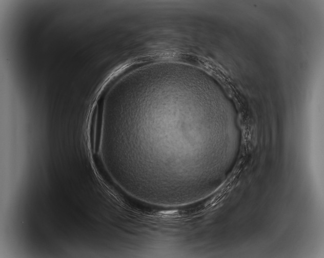 X0000097810054200803201425