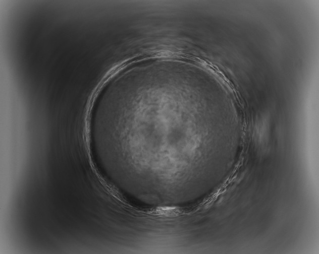 X0000097810055200803201425